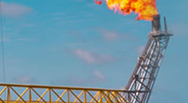 OIL AND GAS SPECIAL RISKS
